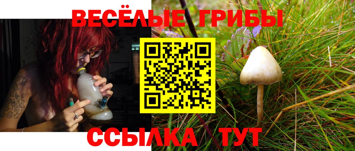 Галлюциногенные грибы ЛСД Орск