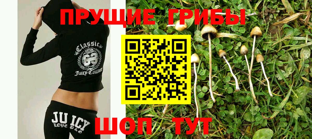 Орск  Псилоцибиновые грибы мухоморы  Вход с VPN 